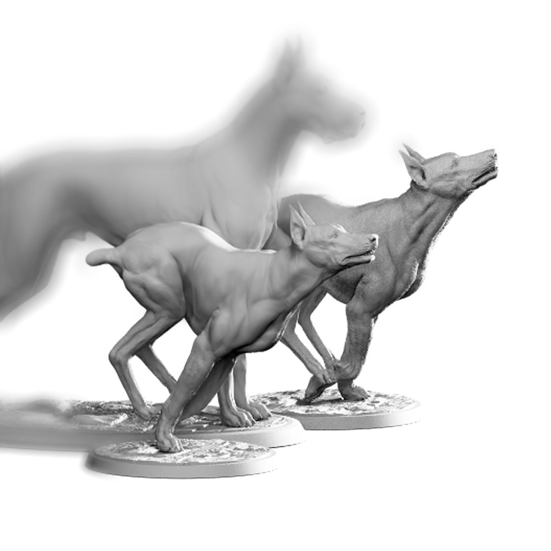 Doberman, 75mm