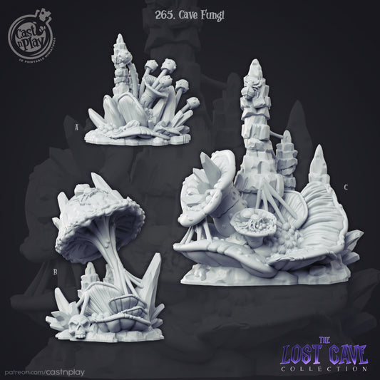 Cave Fungi