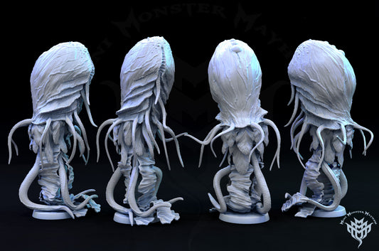 Jellyfish