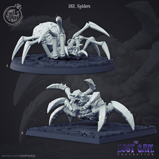 Spiders