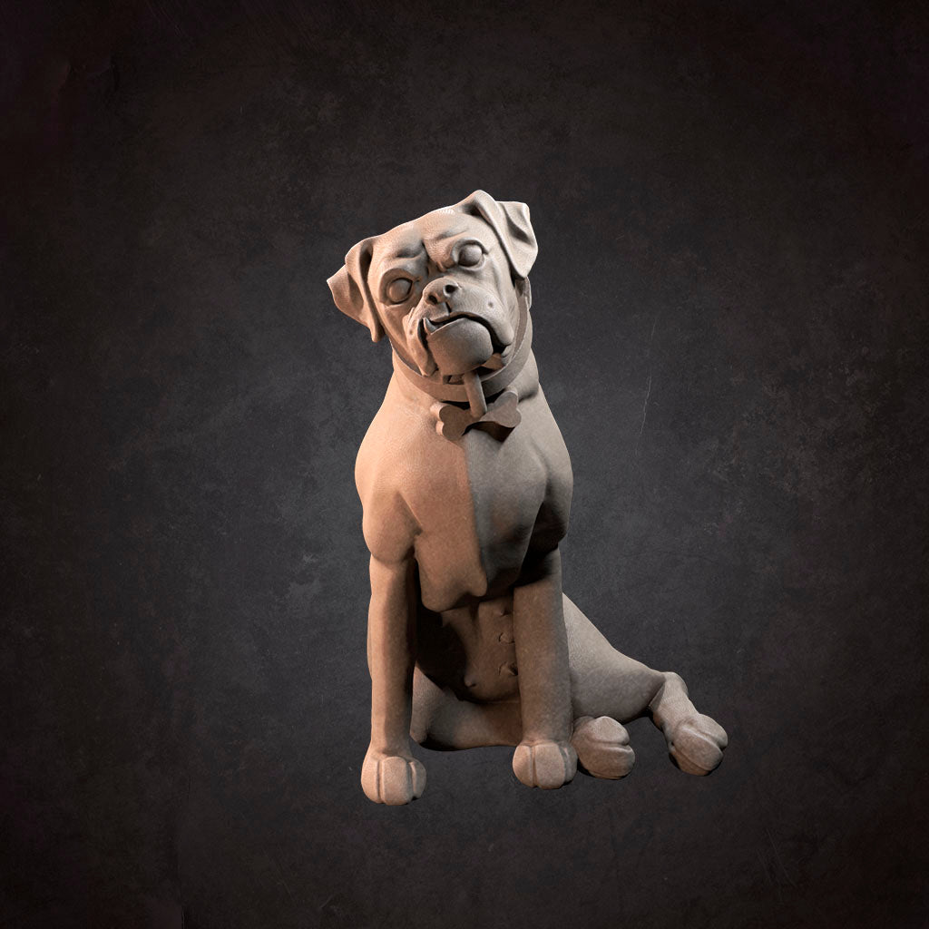 Dog